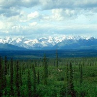 /album/pamiatky/siberian-taiga-jpg/